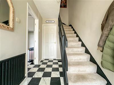 Picture 14